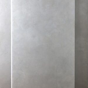AE-001